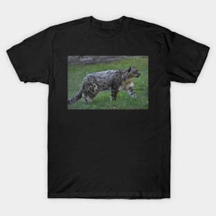 Snow Leopard T-Shirt